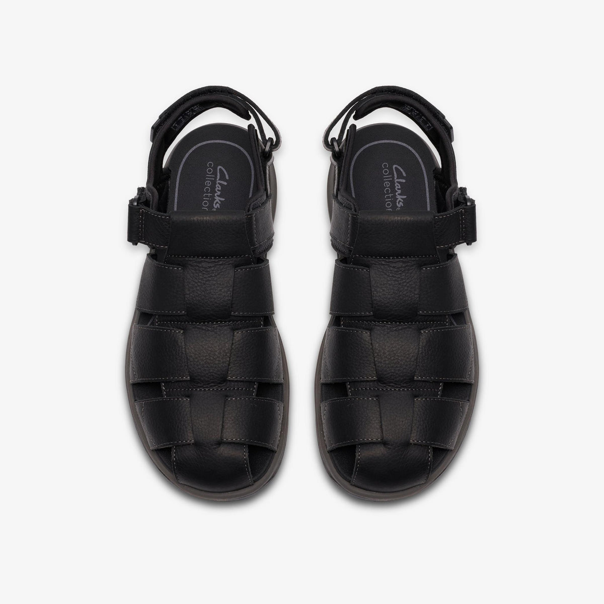 Guideview Cove Black Leather - US 7322