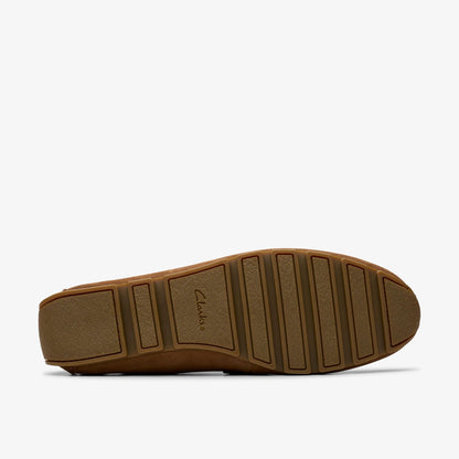 Corsley Bar Cola Suede - US 7662